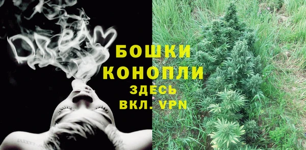 спиды Медвежьегорск