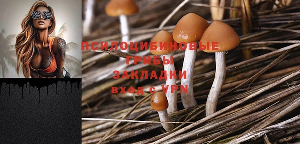 герыч Мегион