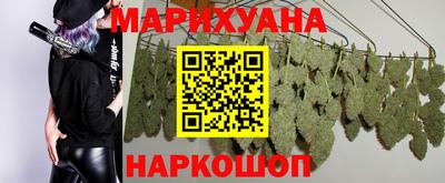 индика Гусь-Хрустальный