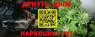 индика Гусь-Хрустальный