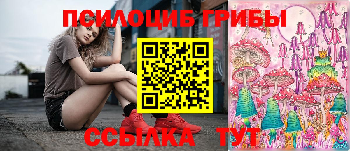 Галлюциногенные грибы прущие грибы Лабытнанги