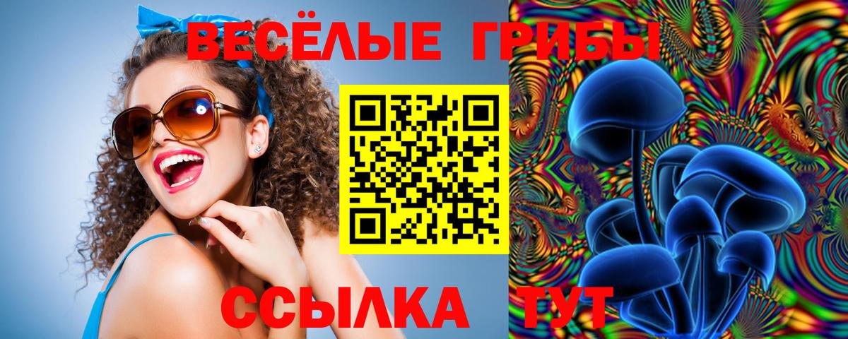 Галлюциногенные грибы мухоморы Лабытнанги