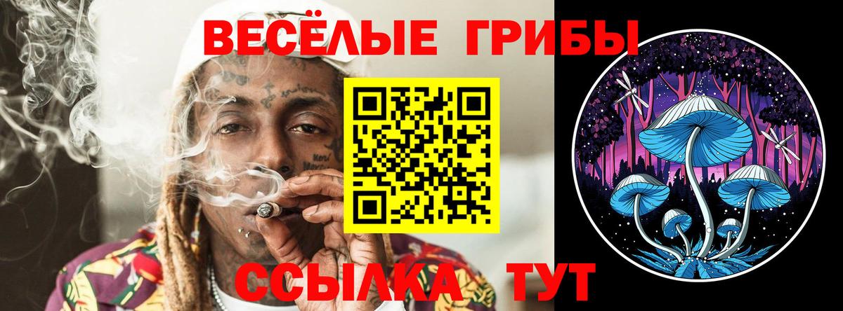 Псилоцибиновые грибы мухоморы  Лабытнанги 